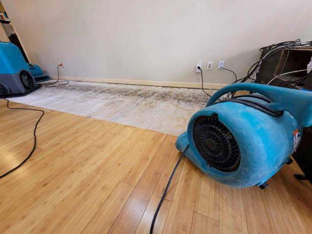 Professional Water Damage Repair technician working in North Scituate, MA